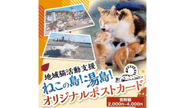 【熊本県上天草市ふるさと納税】地域猫活動支援「ねこの島!湯島!オリジナルポストカード」が受付中