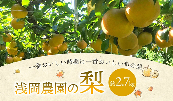 【大分県九重町ふるさと納税】おいしい旬の梨をお届け！「浅岡農園の梨」を受付中です。